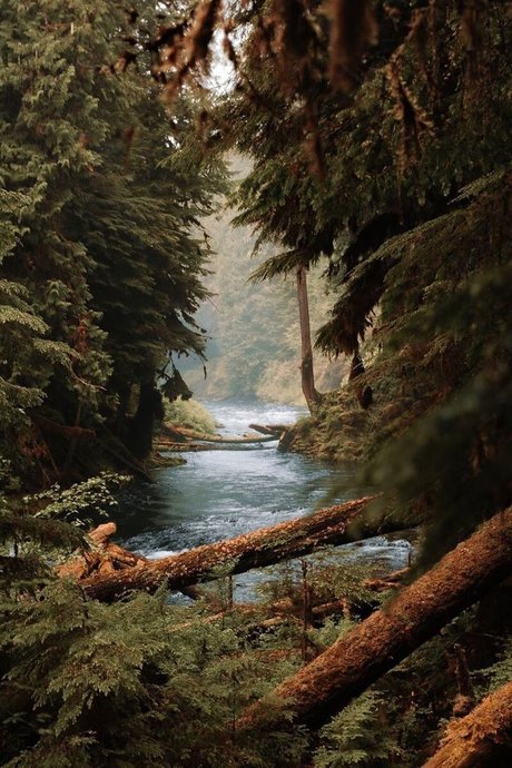 Kohl World belle actrice archive