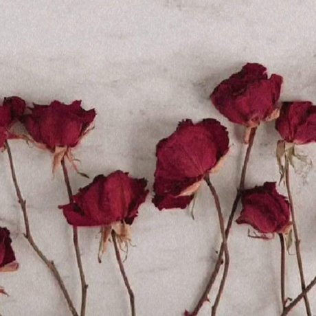 perfektermond actrice artistique image