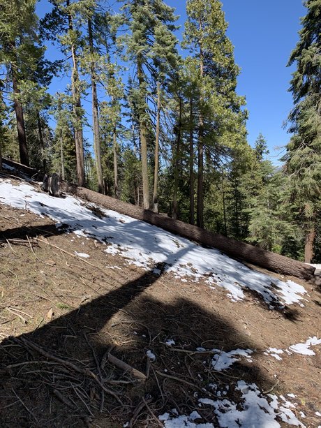 Damien and Lewis étoile xxx galeries