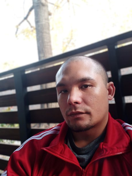 The Asian Persuasion haut modèle galerie