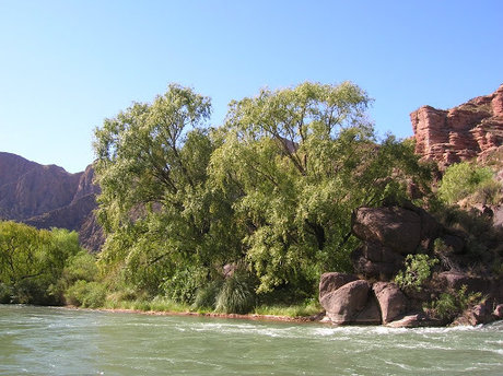 u3091749 étoile nue galeries