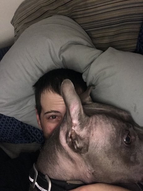 Someguy3e modèle pornographique archive