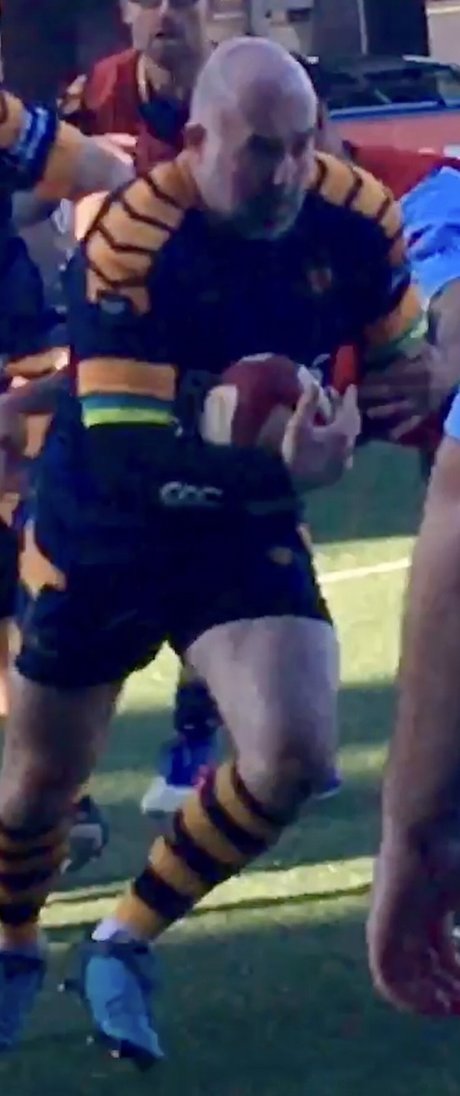 sol jolie actrice image