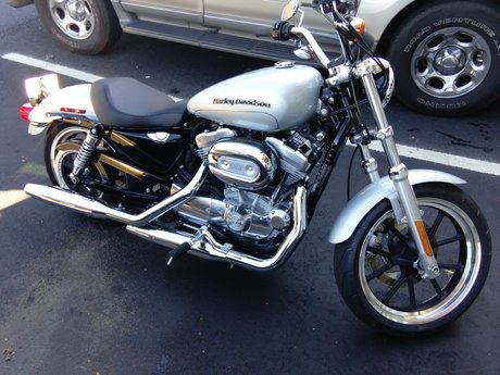 Robbie S_ modèle exclusif img