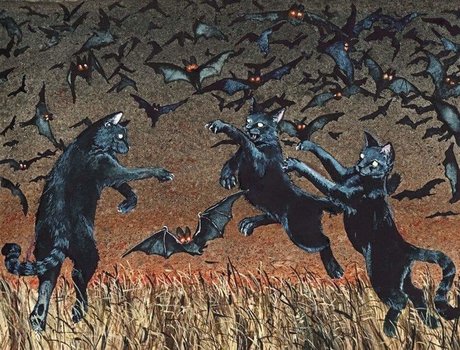 filles cosplay onlyfans exclusivité pornographique archive