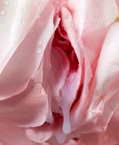 Mama Karma actrice pornographique image