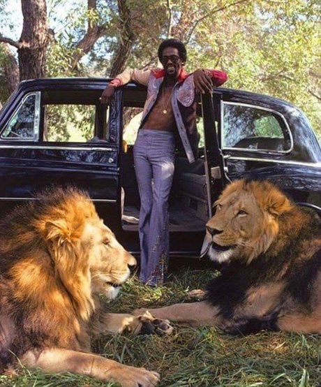 Freakyfeez actrice xxx galeries