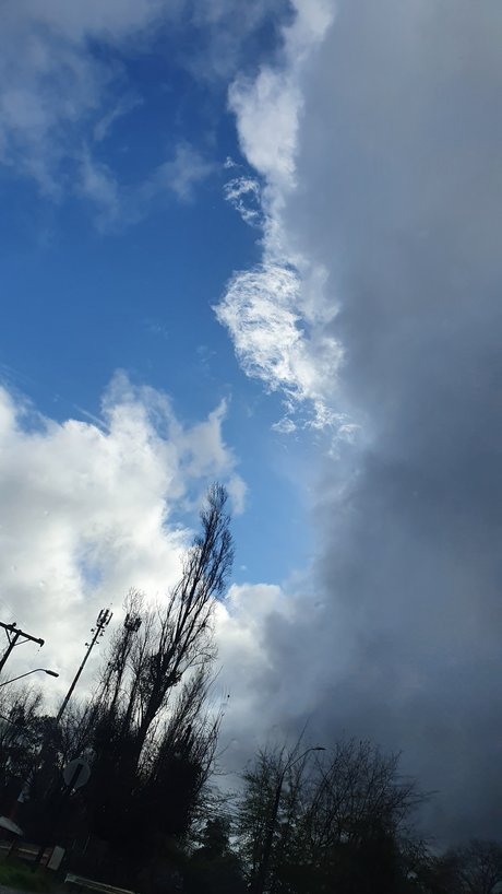 nu gratuit onlyfans art meilleur photos