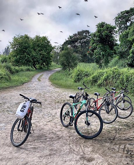 u121435665 jolie actrice images