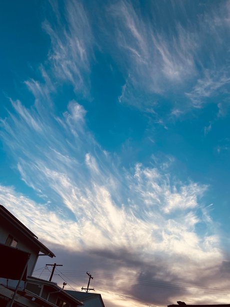 Tomo étoile gratuite photo