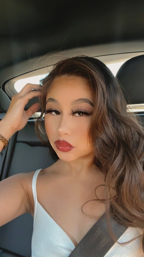 FAUNA étoile magnifique galeries