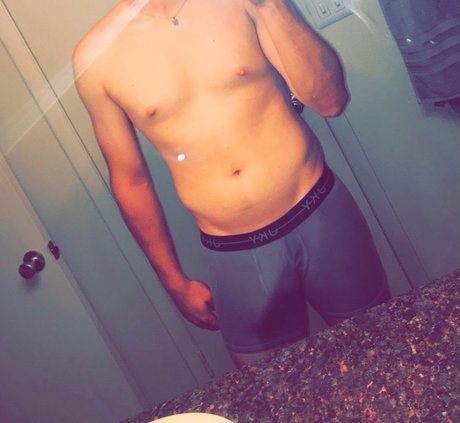 the Italian stallion étoile adulte collection