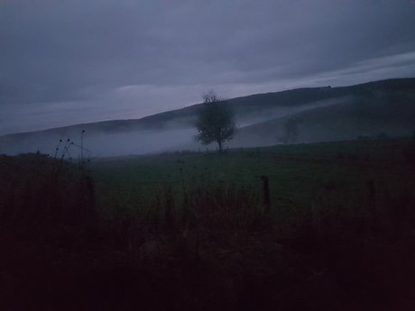 WyldeB beau modèle galeries