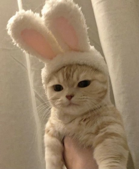 nuriadelavega star du porno gratuite galerie