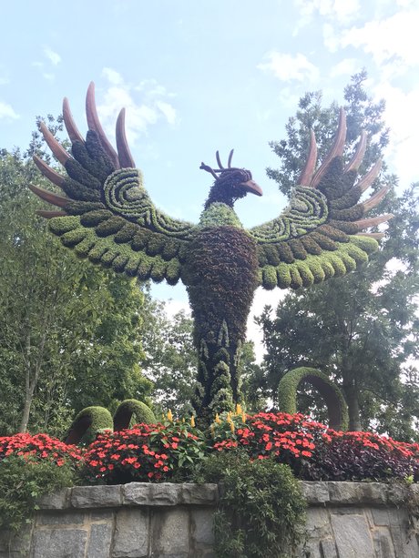 Certified Lover Boy art de star du porno images