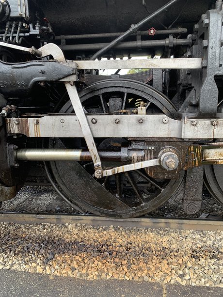 Casey Bell star du porno gratuit images