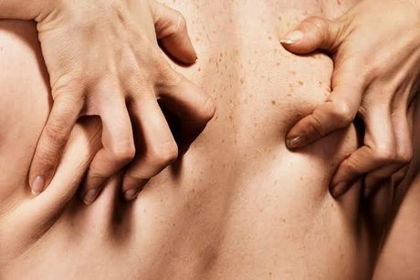 Biel modèle porno galerie