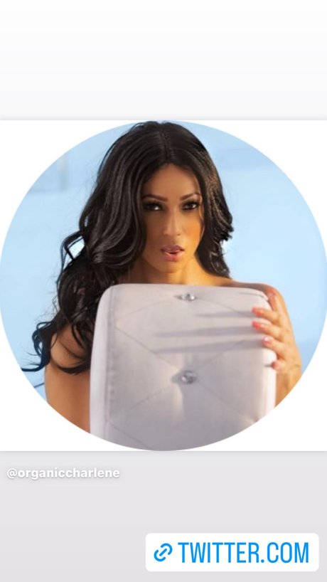 Chars House star du sexe archive