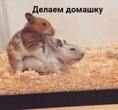 Onostasisa star du porno parfaite images