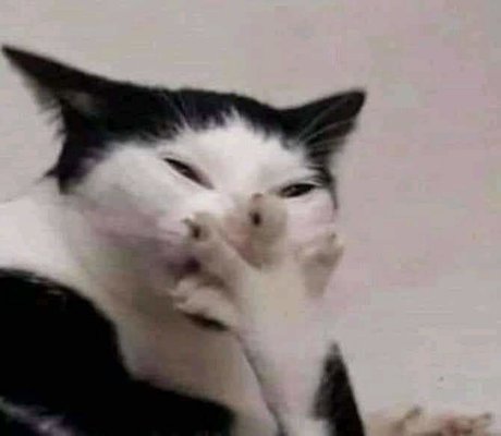 gros butin blanc onlyfans xxx magnifique collection