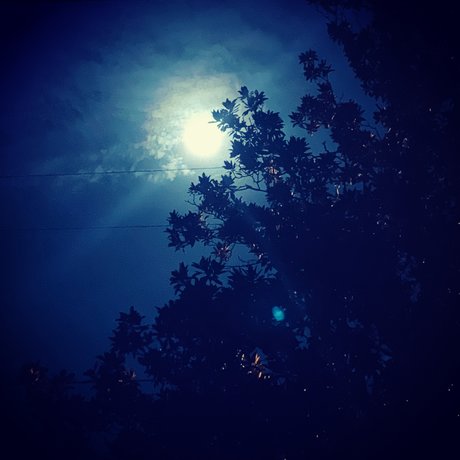 IndigoStar star du porno sympa images