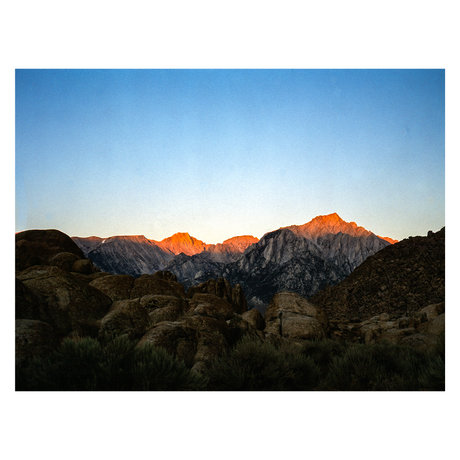 Matt Wolfe meilleure actrice images