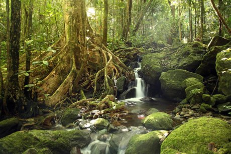 Jackson Blazkowicz star du porno image