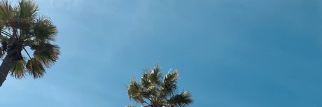 Cris y los Dinos sexe de star du porno des photos