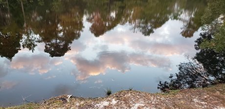 seuls les fans potelés beau photo