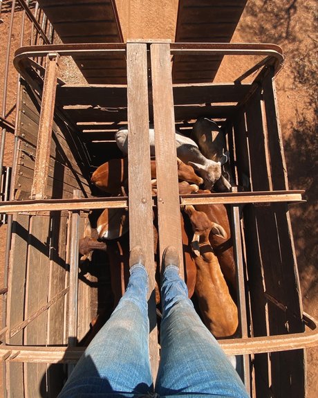 Naughtycowgirl haut modèle des photos