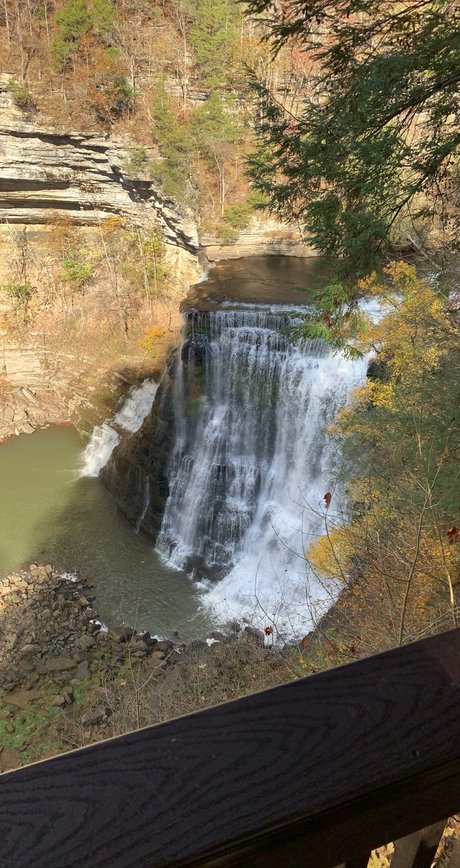 Brick étoile magnifique collection