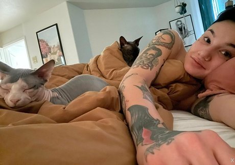 fans de chatte blanche uniquement meilleur pornographique img