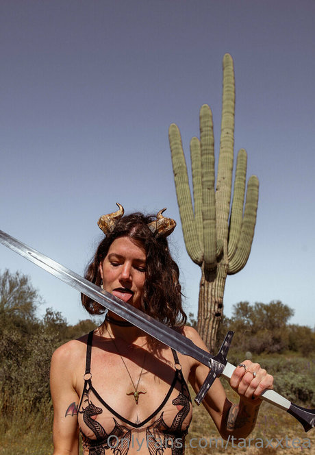 Taratea étoile chaude galeries