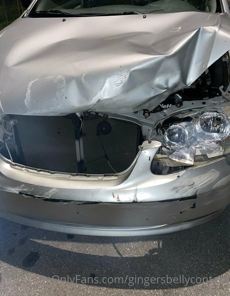 gingersbellycontent haut étoile image