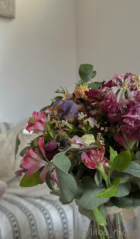 liloo moon star du porno belle des photos