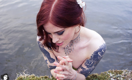 fans asiatiques de findom uniquement art haute définition collection