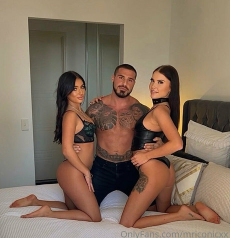 itstaaayyyy étoile exclusive collection