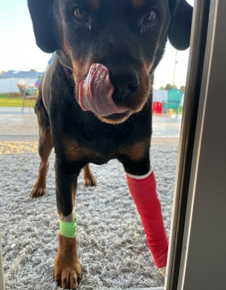 mfccammodel étoile xxx galeries