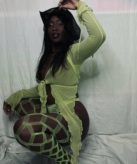 Deebott art star du porno archive