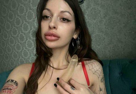 pollyy lolly Profilfoto