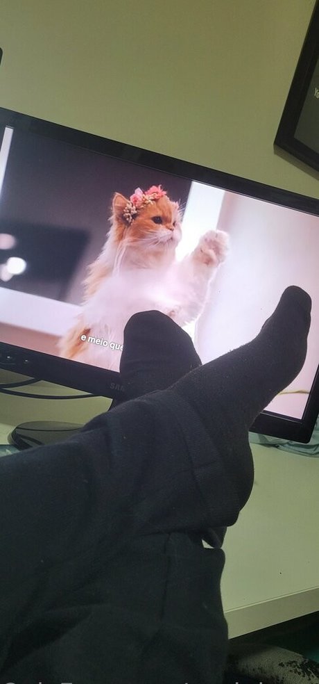 fans en fauteuil roulant uniquement chaud parfait photos