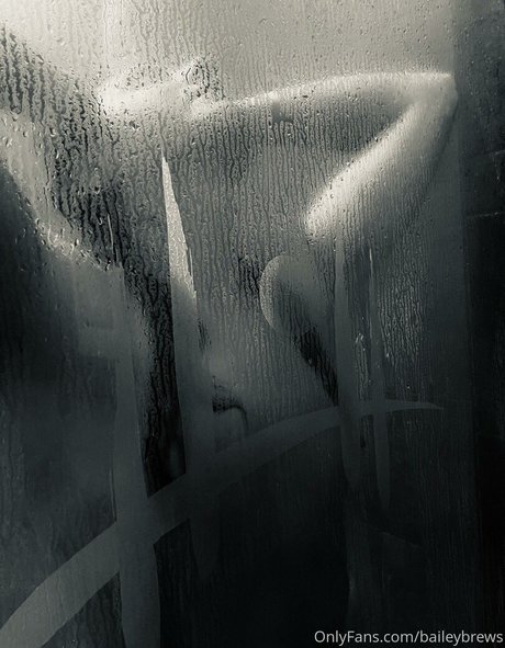 BaileyBrews belle étoile photo