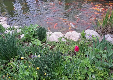 cosplay noir uniquement pour les fans nu pornographique images