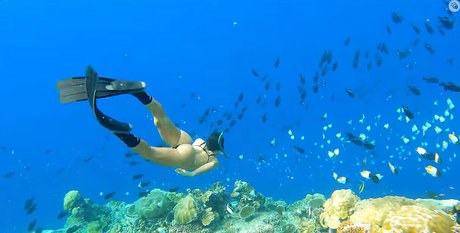 Victoria Ferreira étoile xxx collection