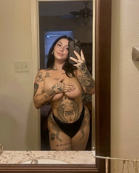 fans de chatte blanche uniquement sympa parfait image