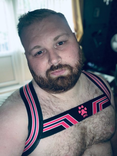 Phoenix02 meilleur modèle galerie