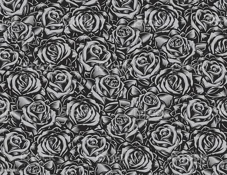 Lady Flawless star du porno adulte galerie