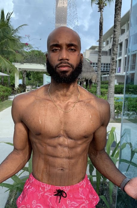 davis nus de stars du porno collection