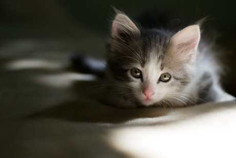 salope asiatique onlyfans xxx gratuit galeries