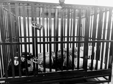 Zita Mute modèle hd photos